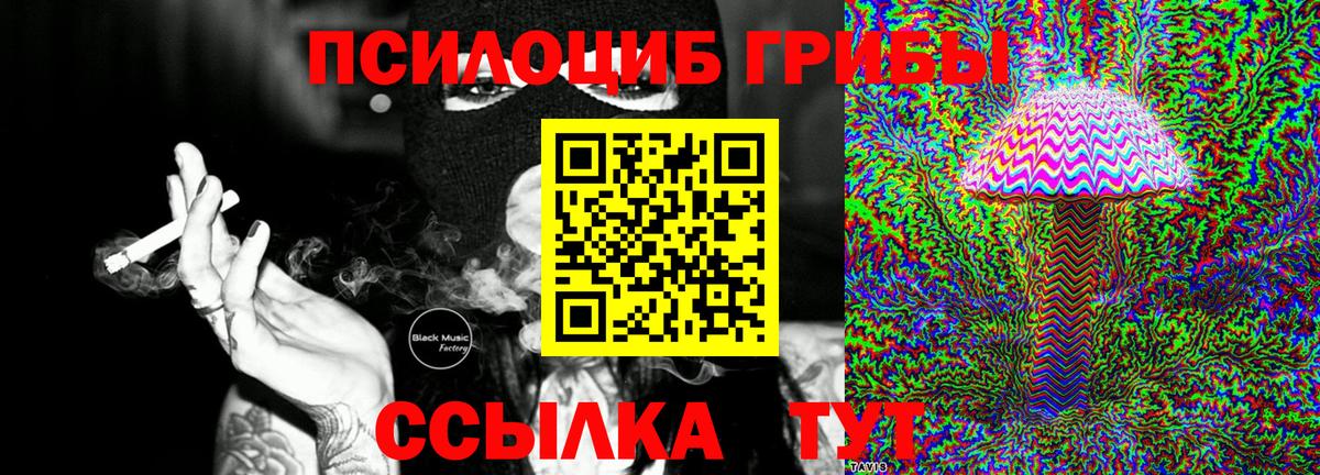 Псилоцибиновые грибы Psilocybine cubensis  закладки  Галлюциногенные грибы Psilocybine cubensis  Белая Калитва  Вход с VPN 