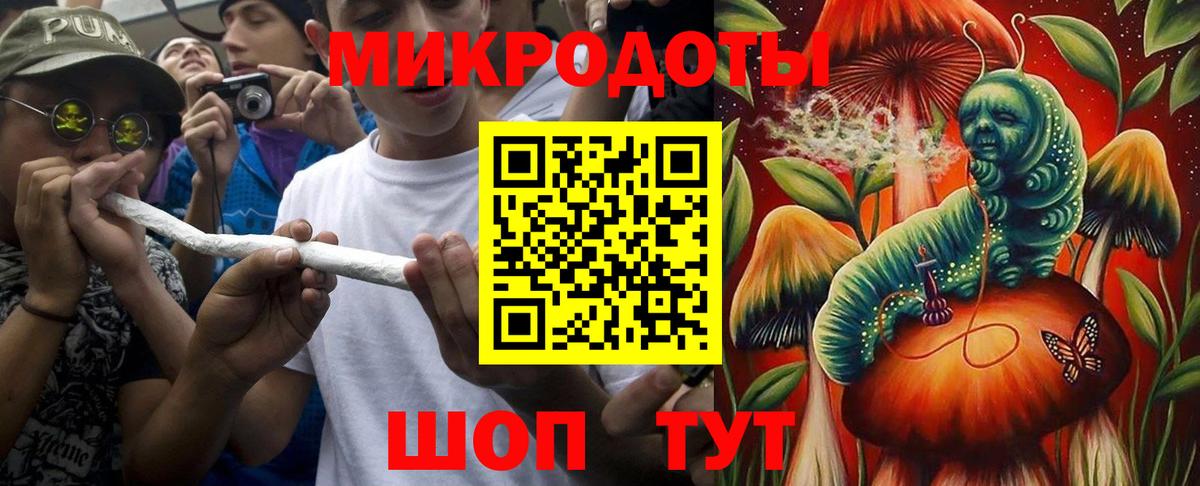 Псилоцибиновые грибы мицелий Белая Калитва